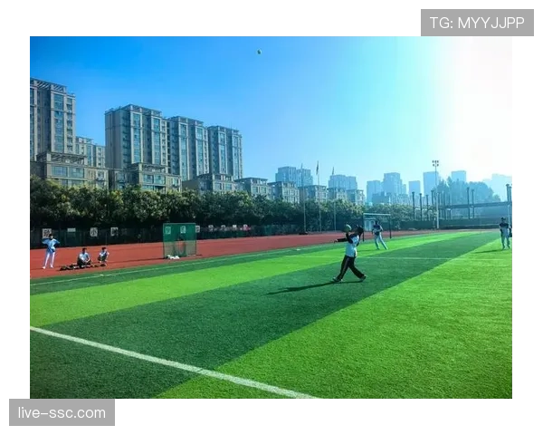 深度调查：气候变化对全球户外垒球赛事日程与训练的影响日益凸显